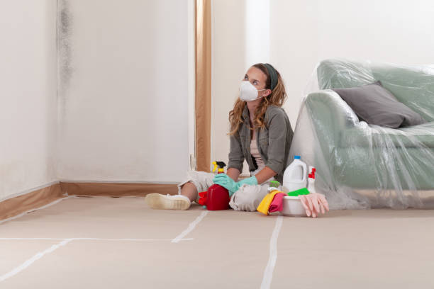Reliable Mold Remediation contractor in Dover, PA by WQB Mold Removal